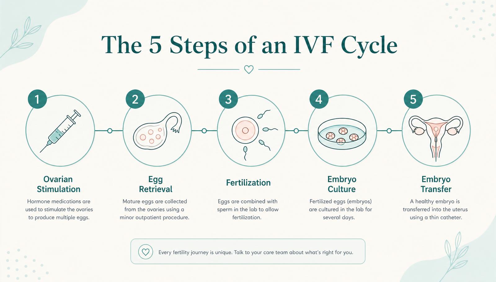 Infographic showing the five steps of an IVF cycle: stimulation, retrieval, fertilization, embryo culture, transfer.